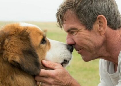 Raccontare i propri segreti al cane fa bene